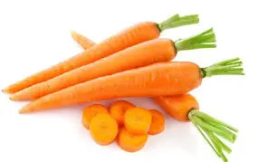 Zanahorias