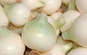 Cebolla blanca