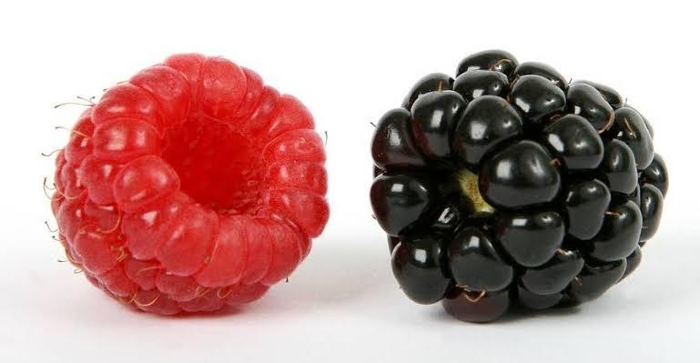 Berry